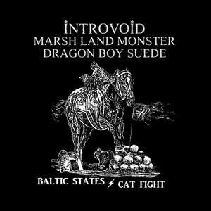Baltic States (feat. Marsh Land Monster & Dragon Boy Suede) (Introvoid Remix)