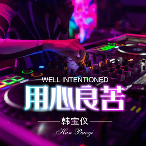 韩宝仪 - 用心良苦 (DJ默涵版)