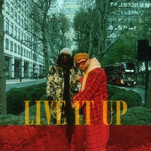 Live It Up (Underground Mix)