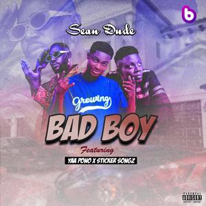 Bad Boy (feat. Yaa Pono & Sticker Songs) (Remix|Explicit)