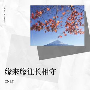 心内心外 - CNLY封面