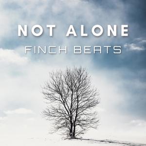 Not Alone (Inst.)