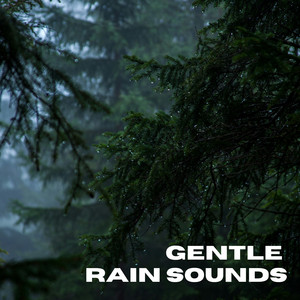 Gentle Rain Sounds