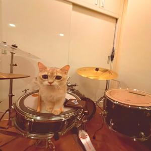 What key is this? G# or Ab (Demo)