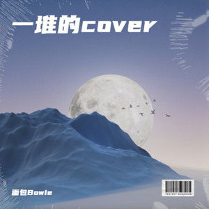 一堆cover