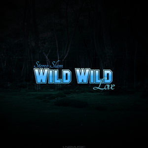 Wild Wild Love (RainDropz! Remix Edit)