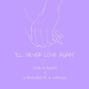 I'll Never Love Again (feat. B4NDIT, KYRMENBEATZ & WANDON)