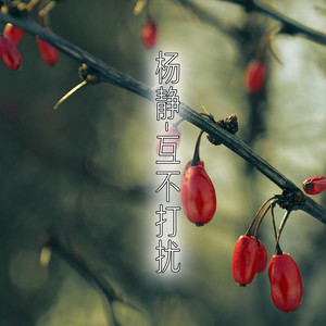 樱花树下的约定