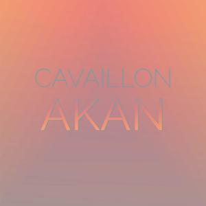 Arlington Appropriate