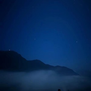 永远的紫荆花在爱之下茁壮发芽 (Live)