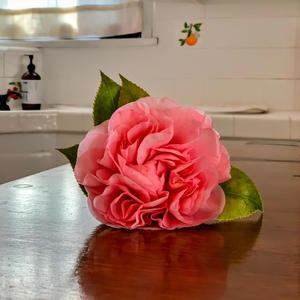 WE REALLY OUTSIDE (feat. Tha Mighty Conqueror)