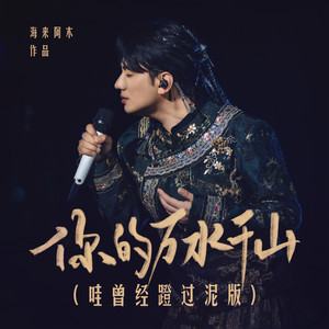 你的万水千山 (哇曾经蹬过泥版) - 海来阿木封面