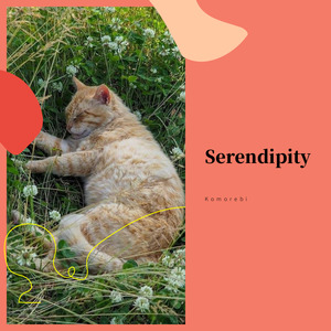 Serendipity