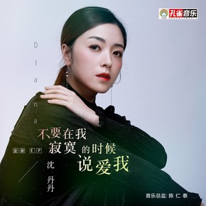 不是因为寂寞才想你-沈丹丹