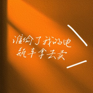 谁偷了我的电瓶车拿去卖