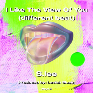 I Like The View Of You (different beat)