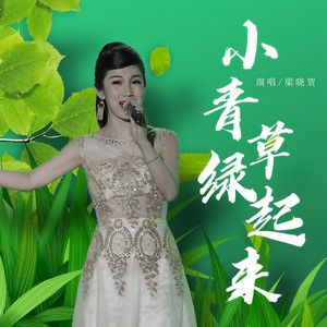 小青草绿起来