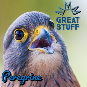 Peregrine (Explicit)