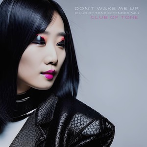 Don't Wake Me Up (Inst.)