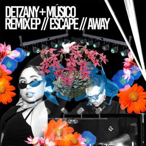 Detzany Remix EP