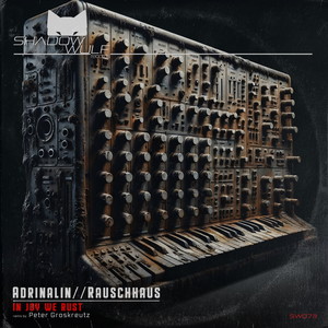 In Joy We Rust (Peter Groskreutz Remix)