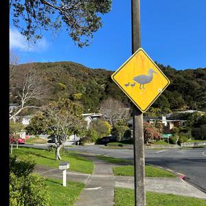 The Intro (Explicit)