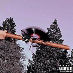 Stop Making Sense/Save Water