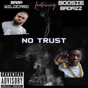 No Trust (feat. Boosie Badazz) (Explicit)