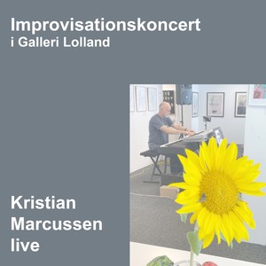 Improvisationskoncert i Galleri Lolland (Live)