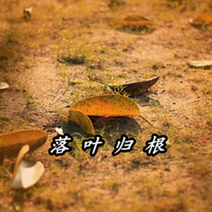落叶归根