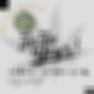 NO GRAMMYs (Explicit)