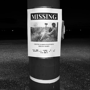 Missing (feat. Breana Marin)