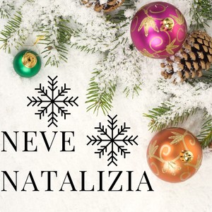 Neve natalizia