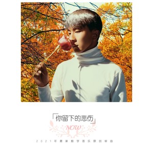 沙正才 - 你留下的悲伤