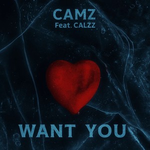 Want you (Explicit)