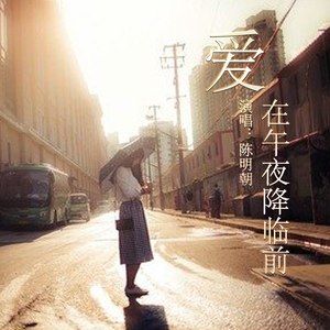 爱在午夜降临前