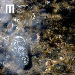 o todo na ausência de tudo