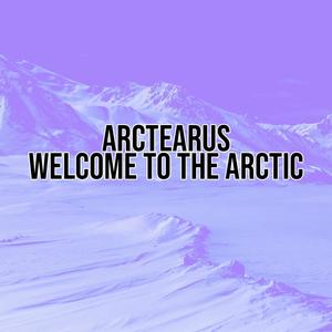 Welcome To The Arctic