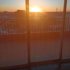 Live in the grove (Live)