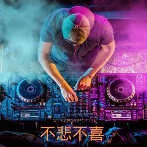 不悲不喜DJ