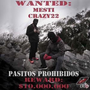 Pasitos Prohibidos (feat. Crazy Wolf22) [Explicit]