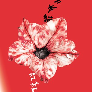 红红