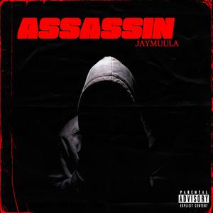 Assassin (Explicit)