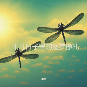 王辉 - 平凡日子里的逐梦挣扎