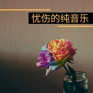 忧伤的纯音乐 - 平静的大自然背景音乐