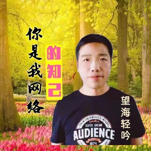 你是我网络的知己