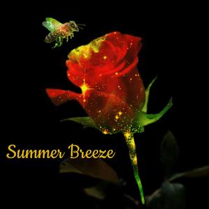 Summer Breeze (feat. Lil Polaroid) (Explicit)