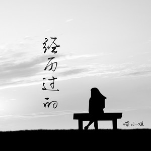 经历过的