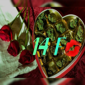 14 F (Explicit)