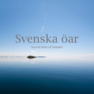 Bullerö(feat. Jan Adefelt)